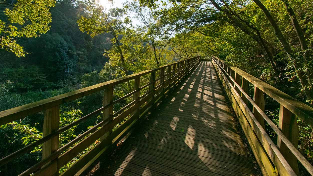 🌳 부민의 숲 호시다 공원(후민노모리 호시다엔치) 이미지 8